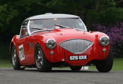 Ian Osborne's Austin Healey